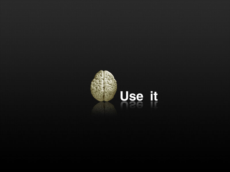 Brain Model