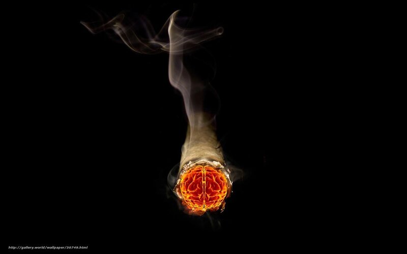 Brain on fire