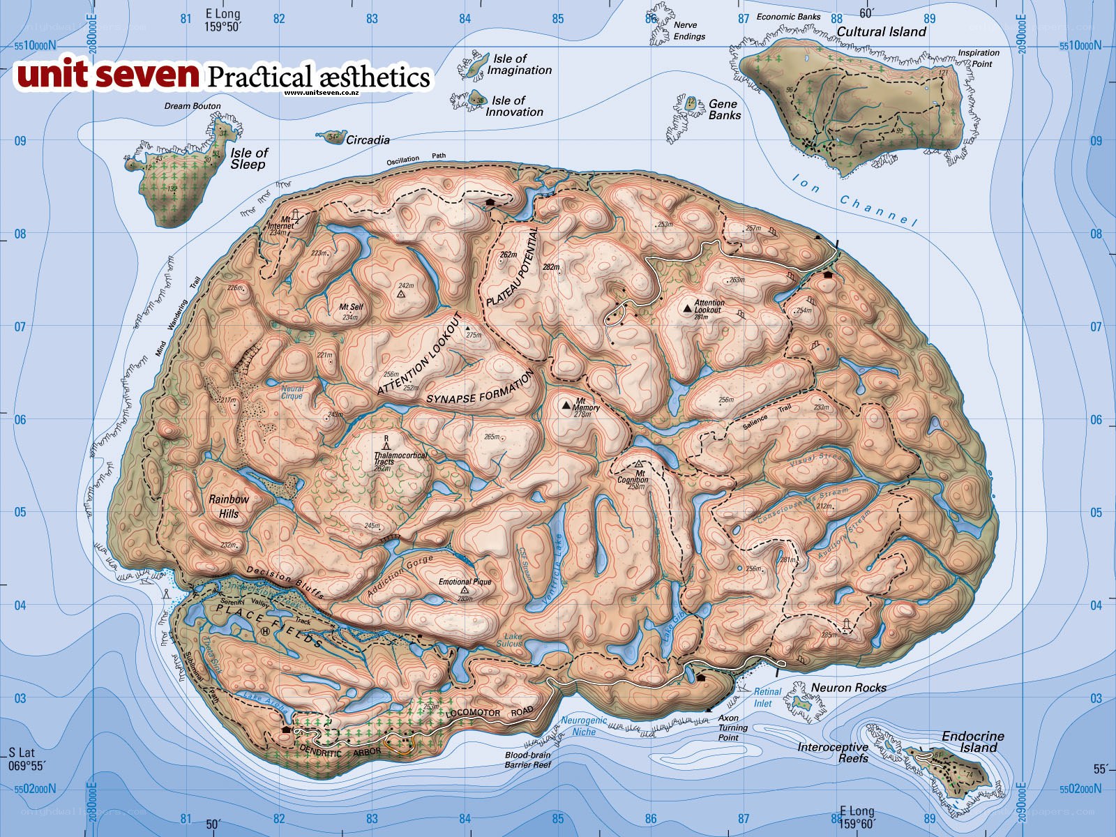 Brain-shaped island map