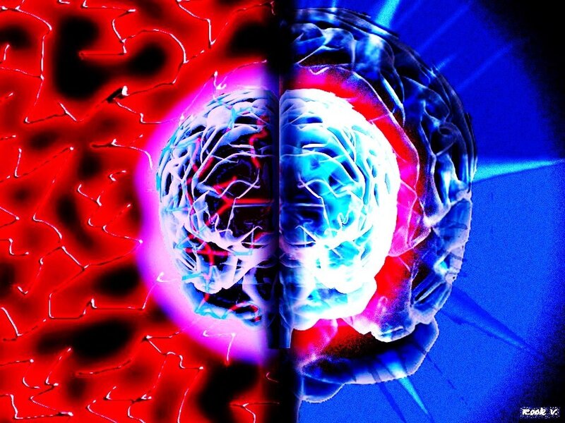 Brain split by color