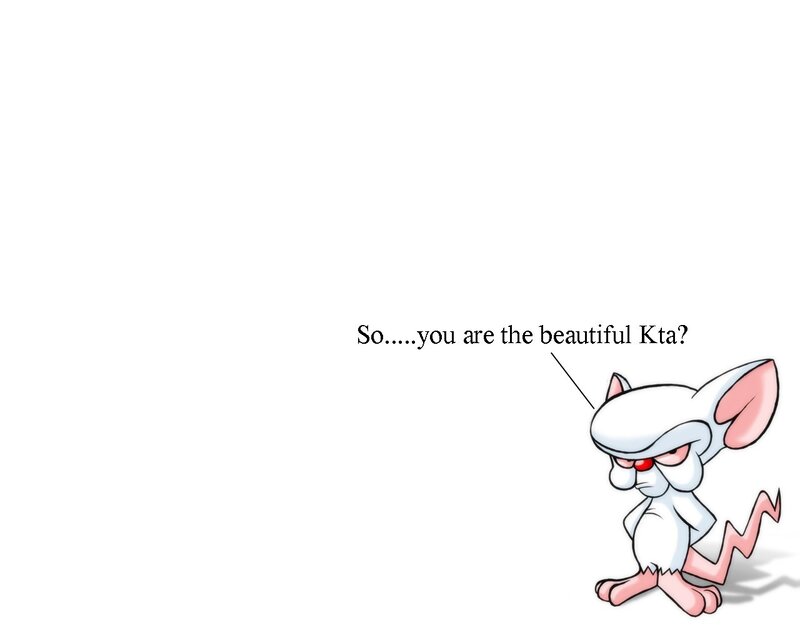 Brain the mouse asks about Kta