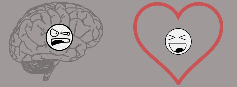 brain vs heart emotion