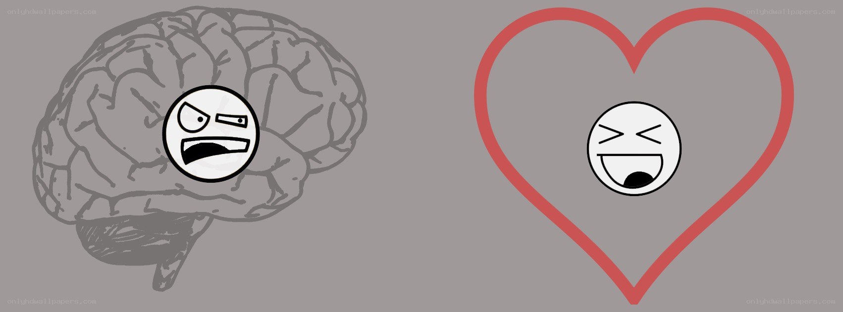brain vs heart emotion