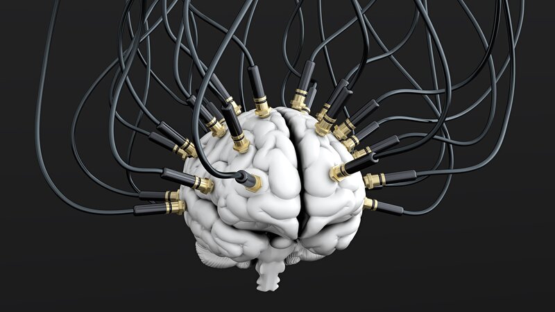 Brain with Cables