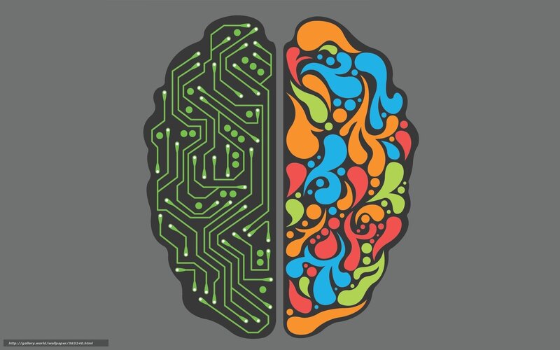 brain with circuit and color design