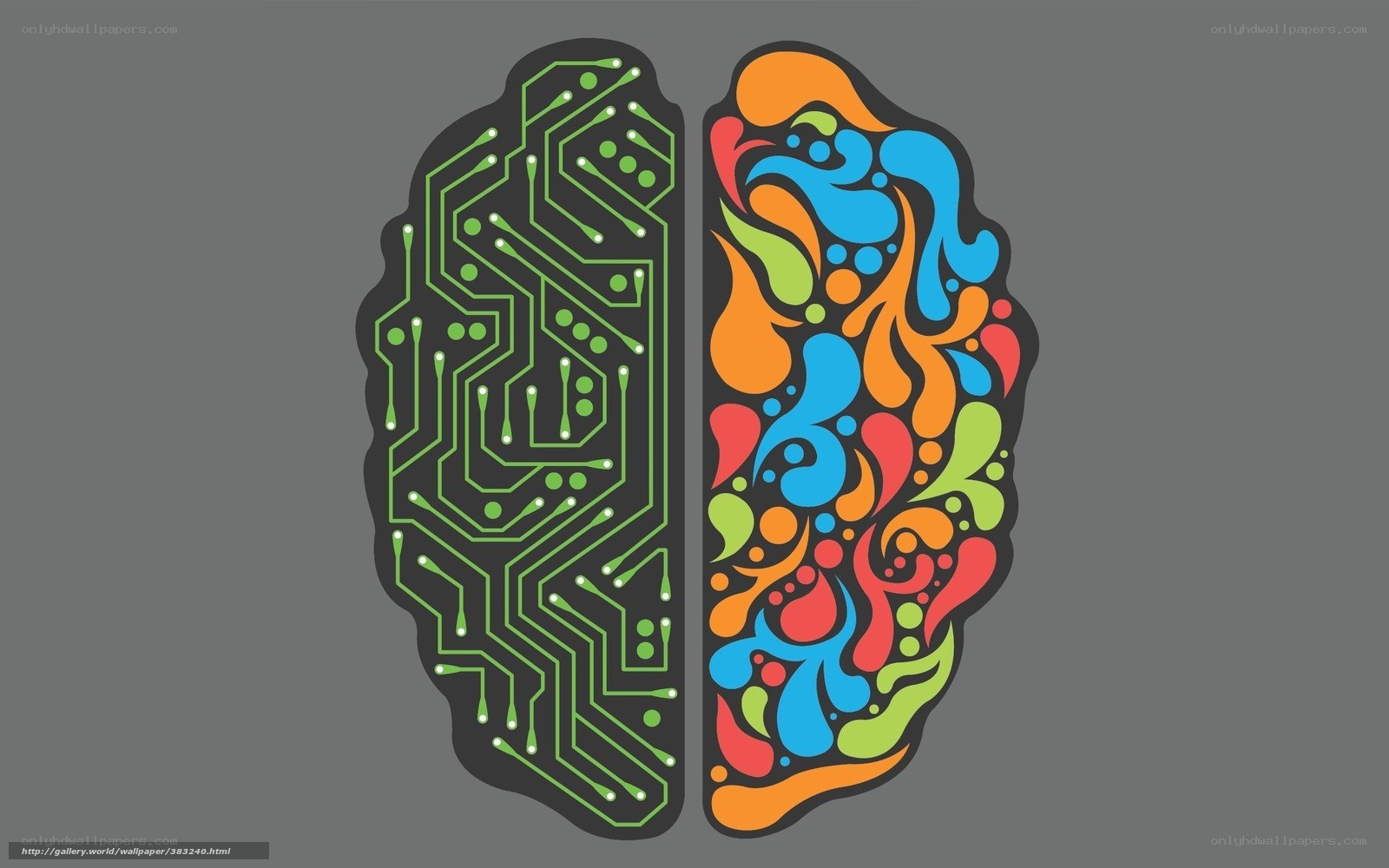 brain with circuit and color design