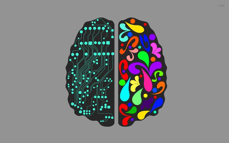 Brain with Circuit and Patterns