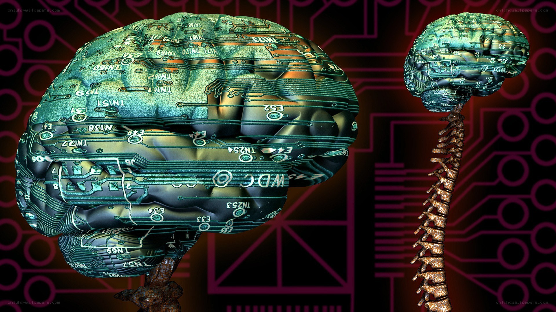 brain with circuit board design