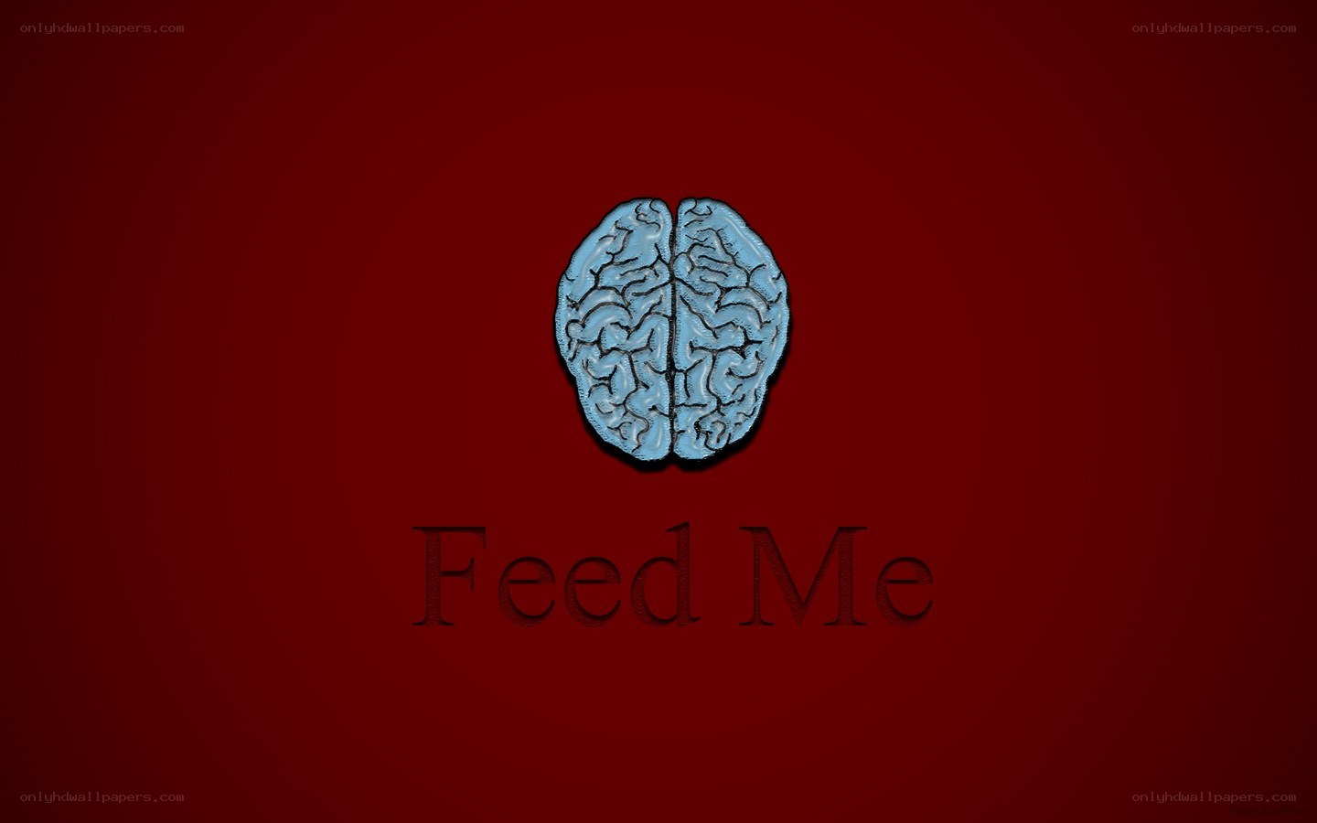 Brain with 'Feed Me' text