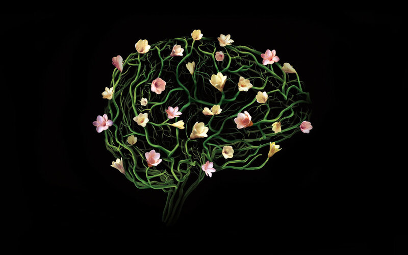 brain with flowers