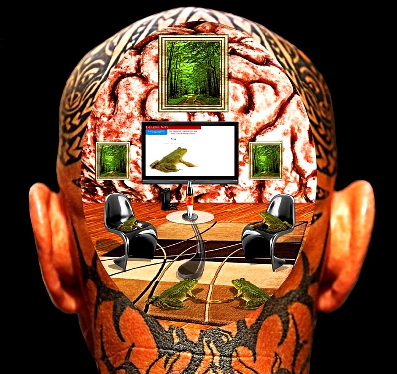 Brain with Frogs