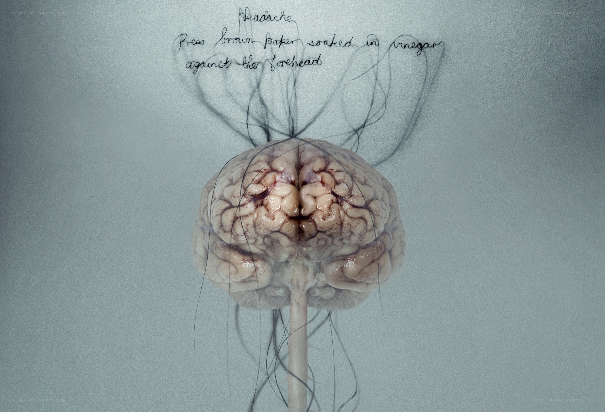 Brain with headache remedy