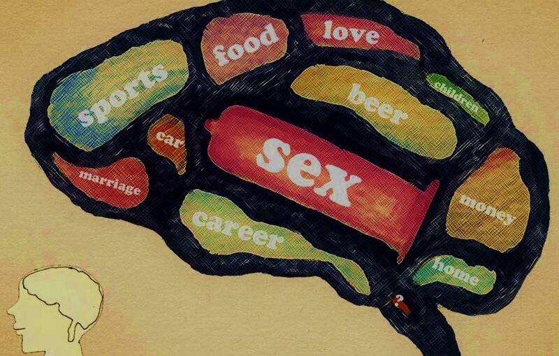 Brain with Labeled Sections
