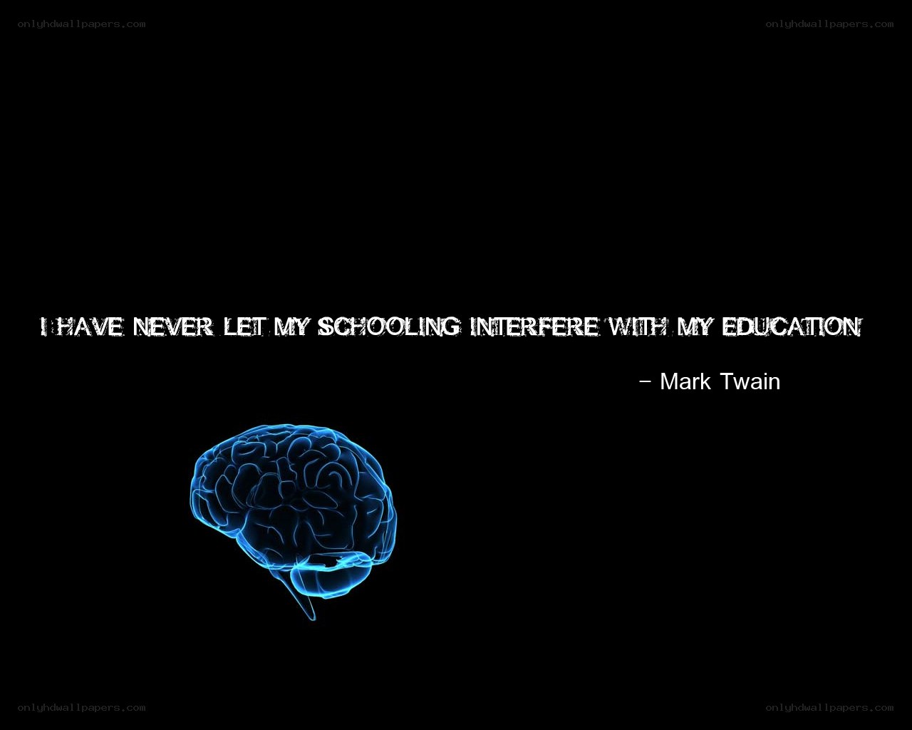 brain with quote image