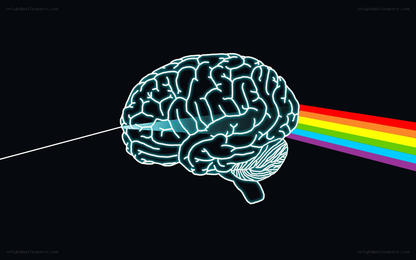 brain with rainbow light