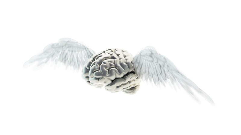 Brain with Wings