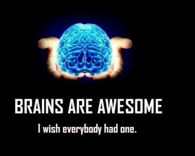Brains Are Awesome
