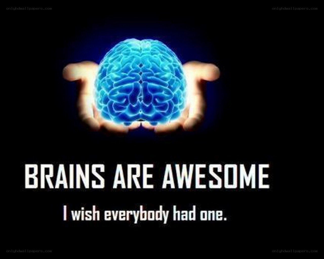 Brains Are Awesome