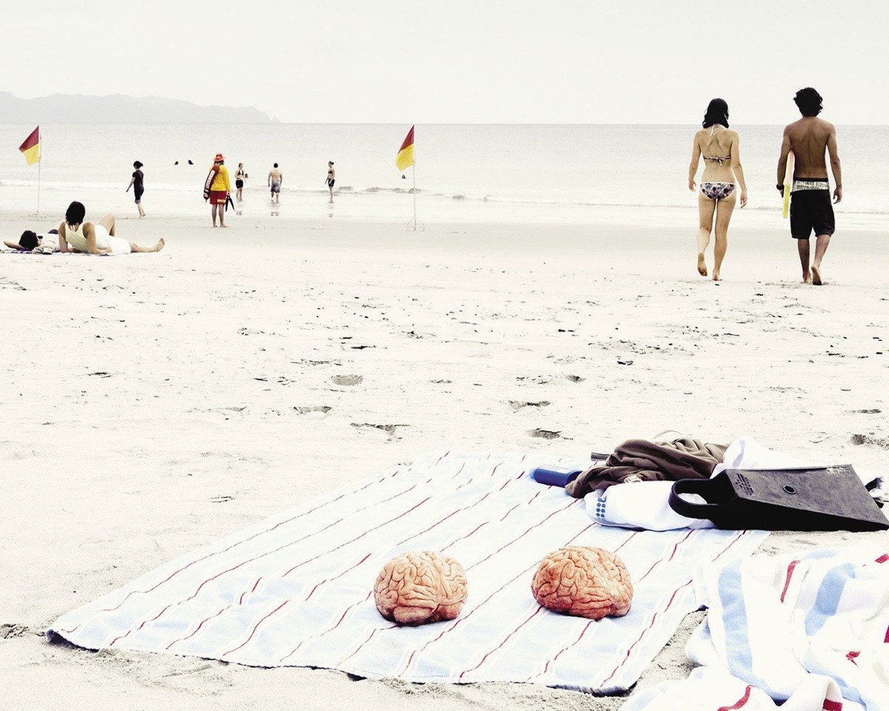 Brains on a beach towel