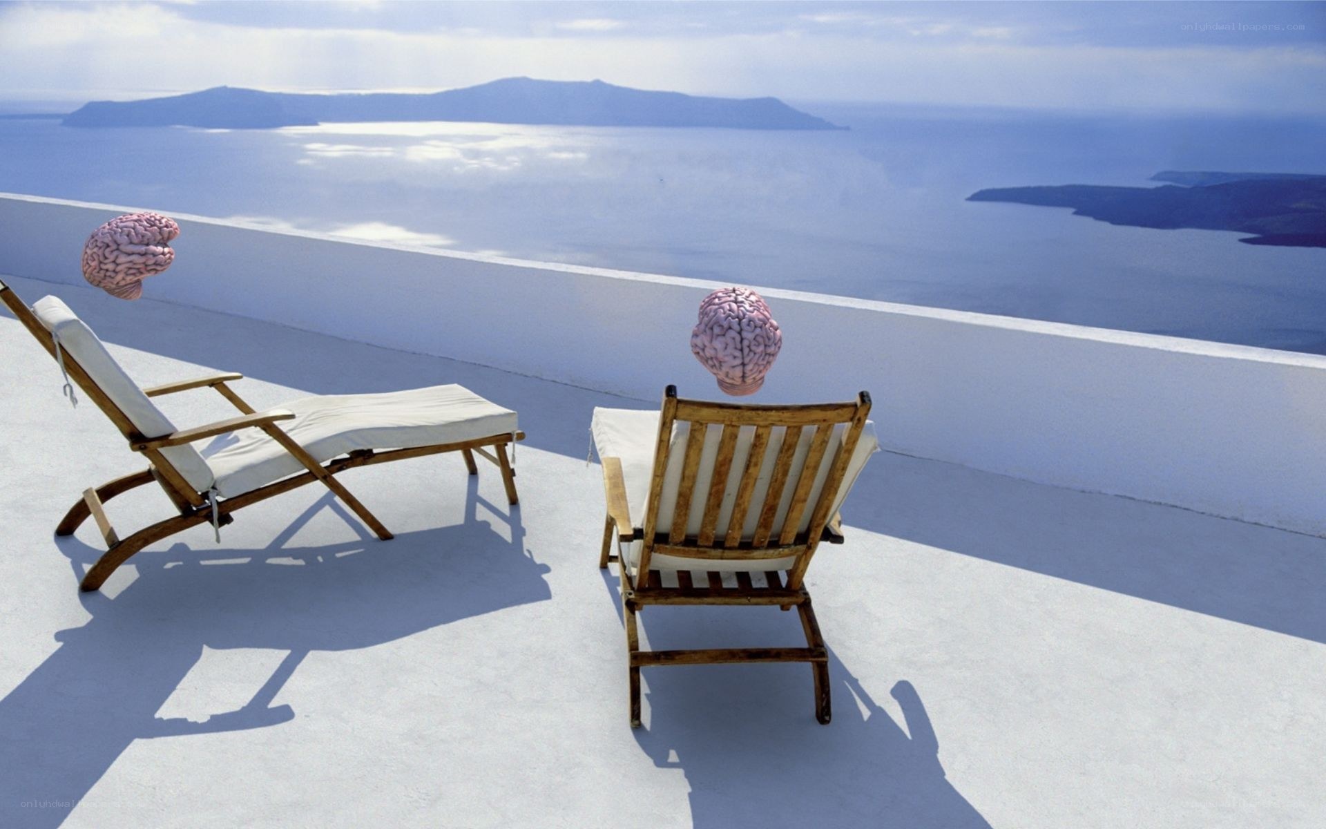 Brains on lounge chairs