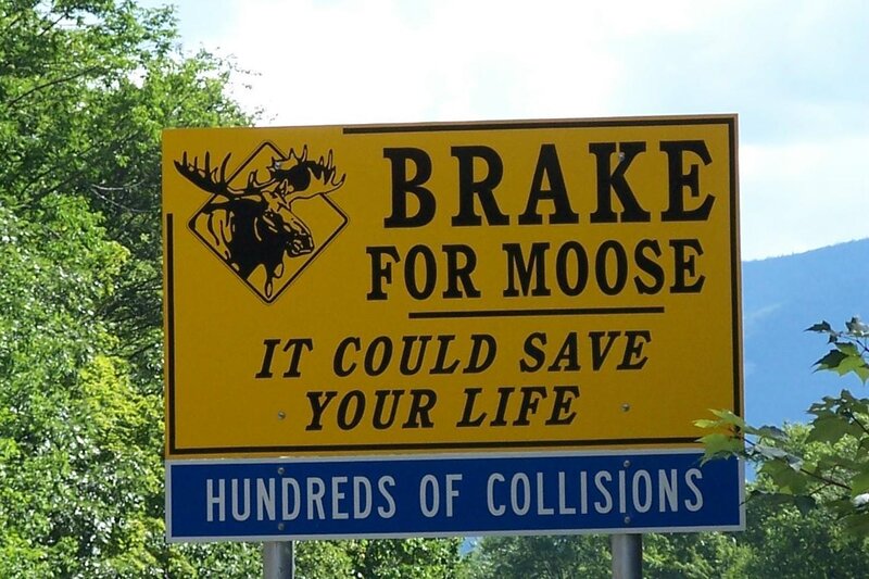 Brake for Moose sign