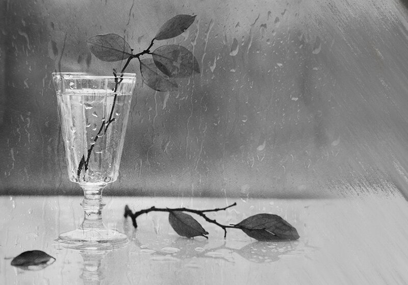 Branch in Glass Vase