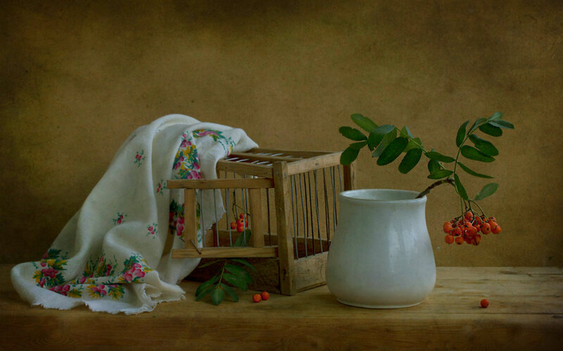 Branch in White Vase