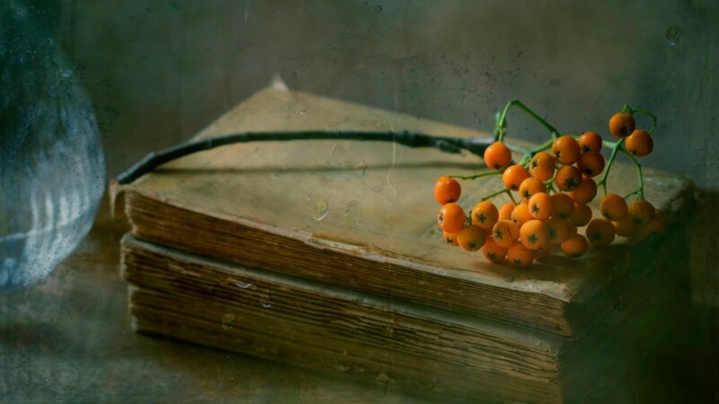 Branch of Orange Berries