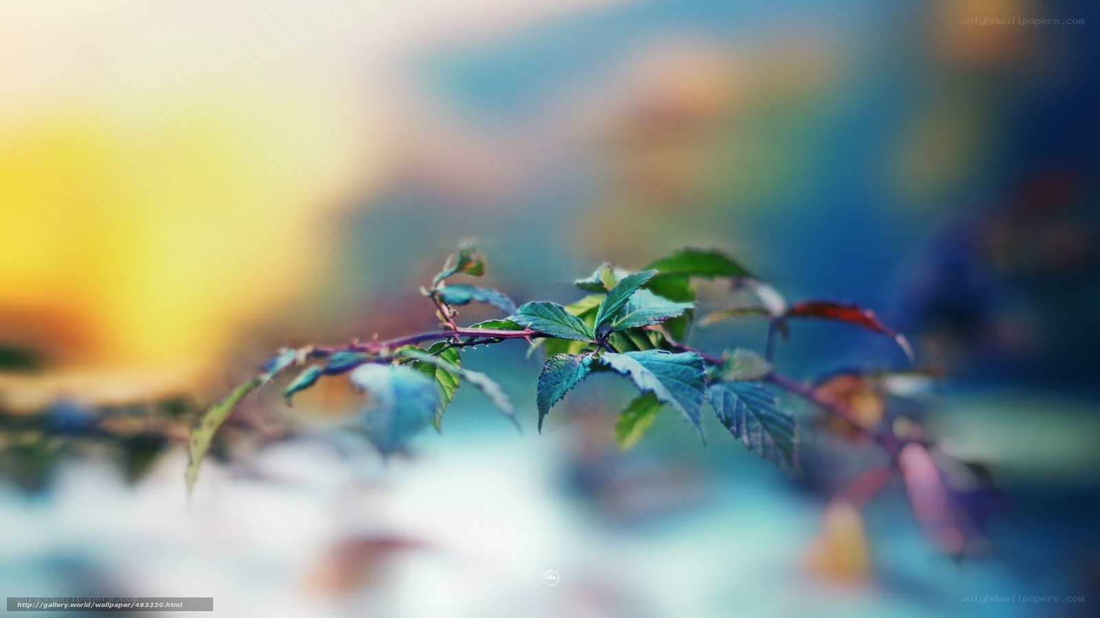 Branch with green leaves