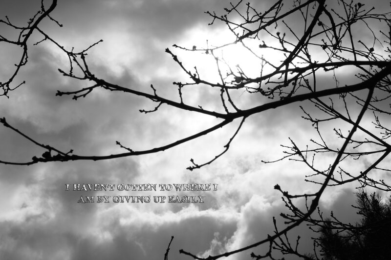 Branches against cloudy sky