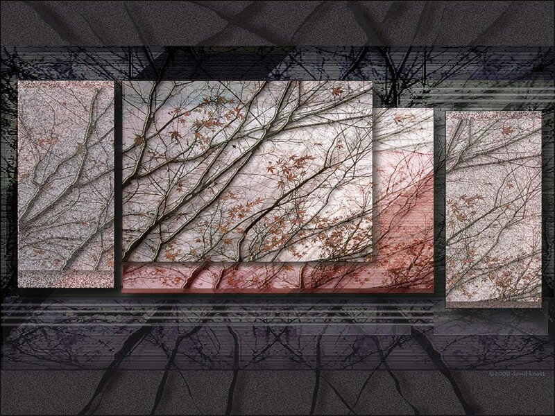 Branches and Autumn Leaves