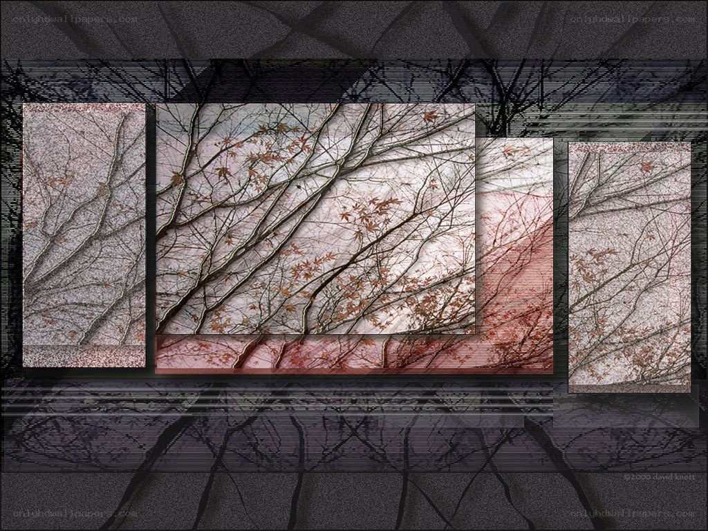 Branches and Autumn Leaves