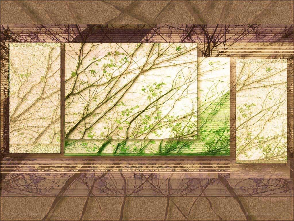 Branches and green leaves