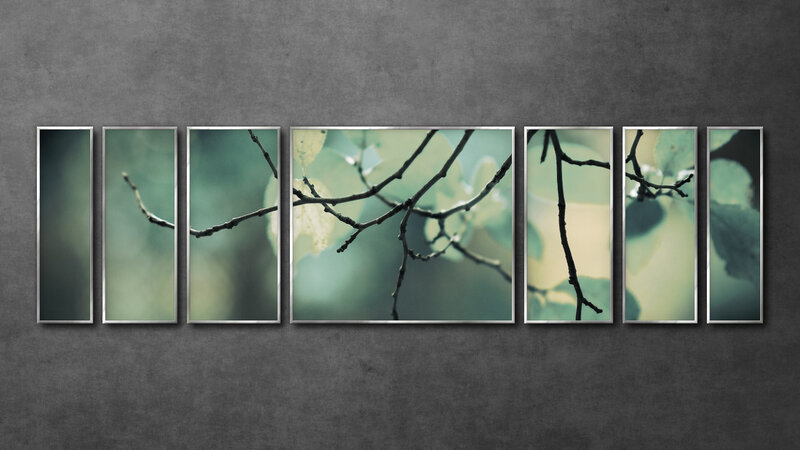 Branches in a forest