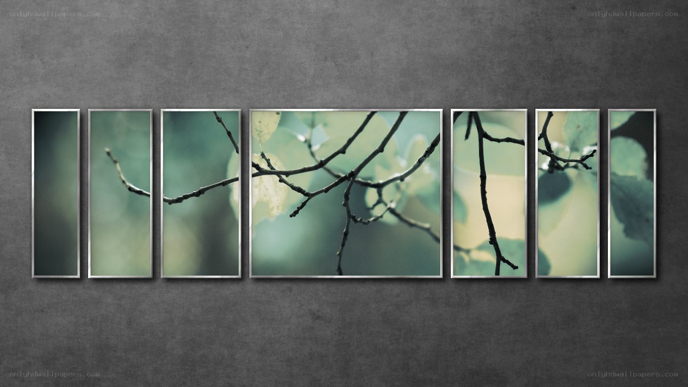Branches in a forest