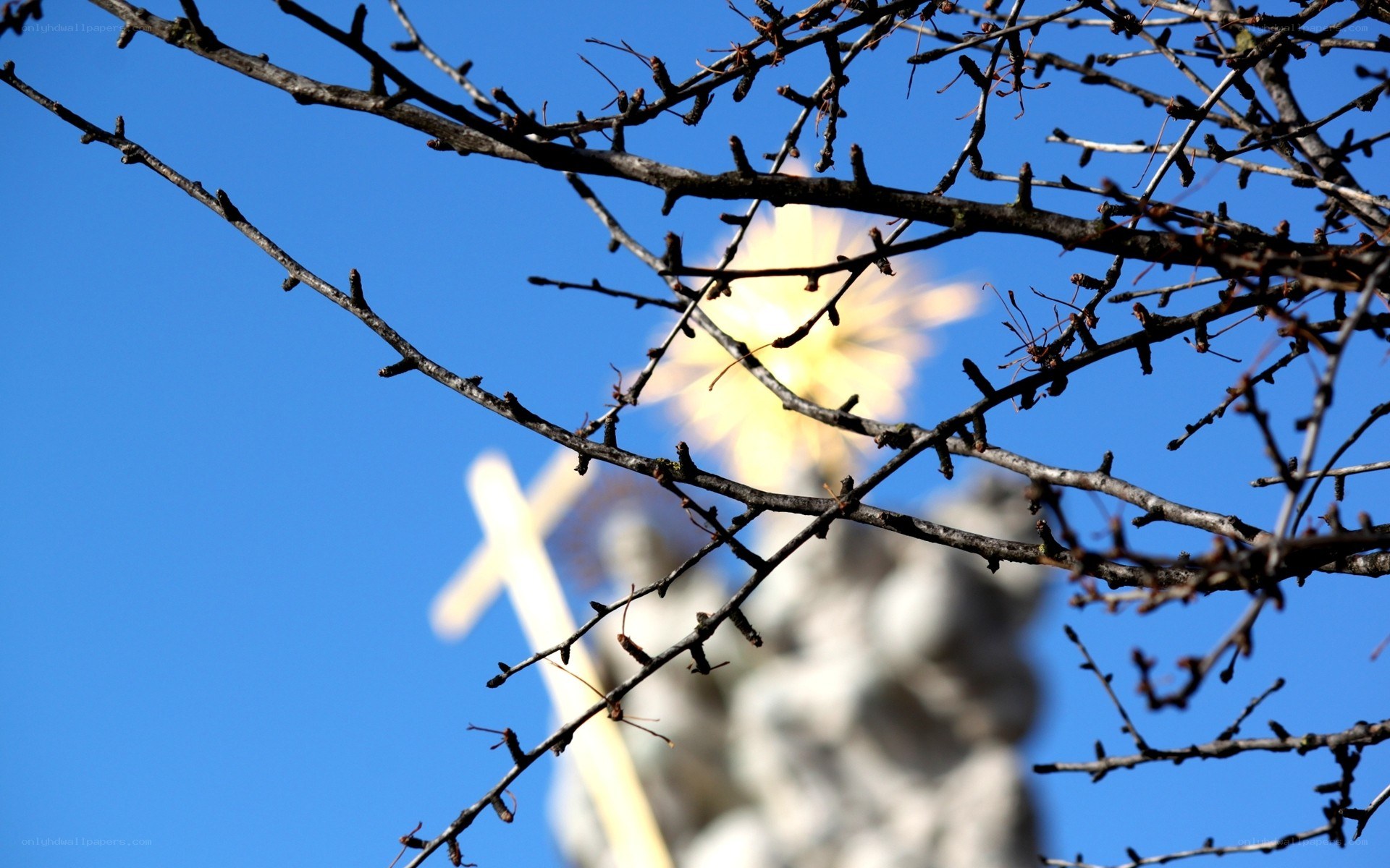 Branches with cross in background