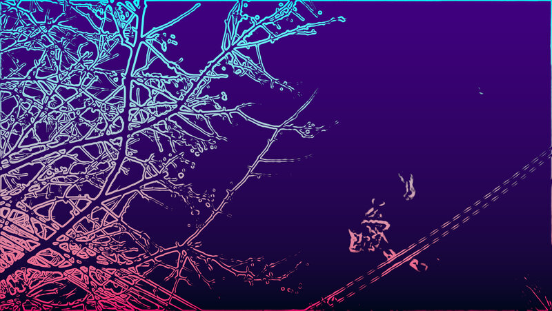 Branching Tree Limbs