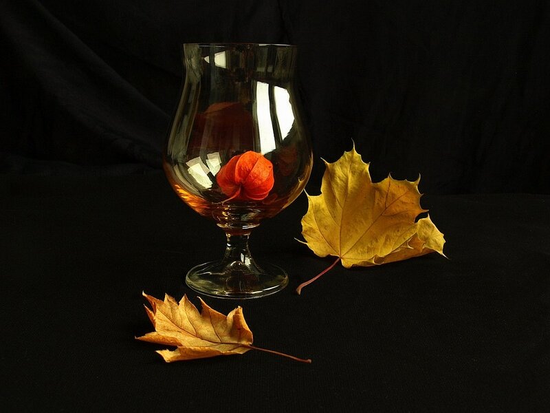 Brandy Glass with Autumn Leaves