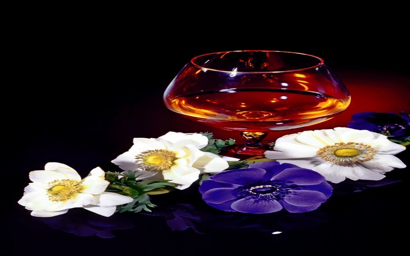 Brandy Glass with Flowers — Black, Dramatic, Photograph