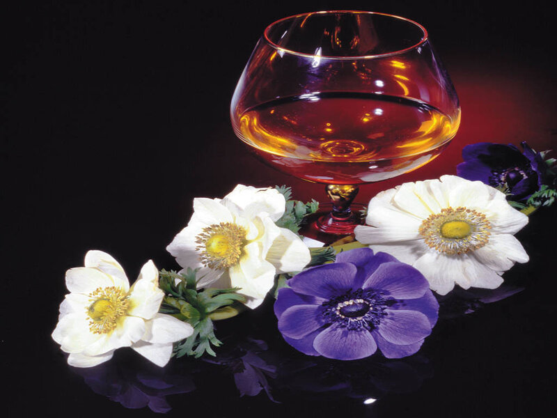 Brandy Glass with Flowers — Black
