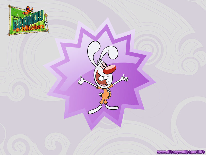 Brandy the Rabbit