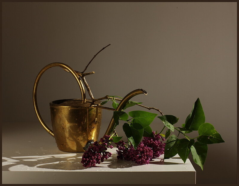 Brass watering can with lilacs