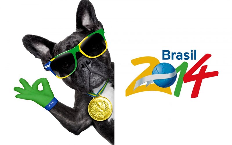 Brazil 2014 dog mascot