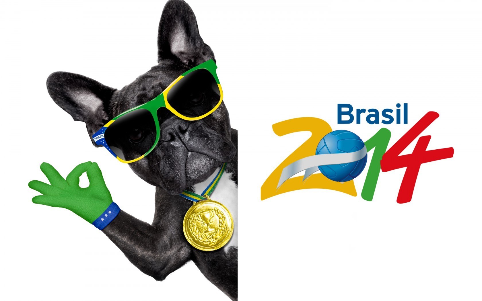 Brazil 2014 dog mascot