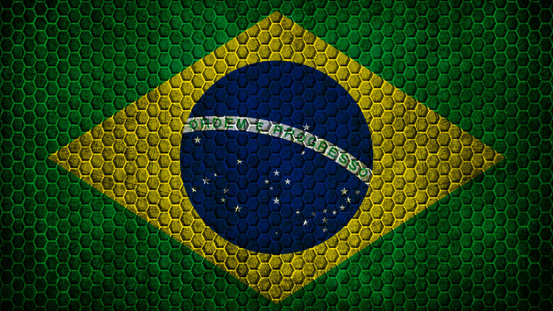 Brazilian Flag on Mesh