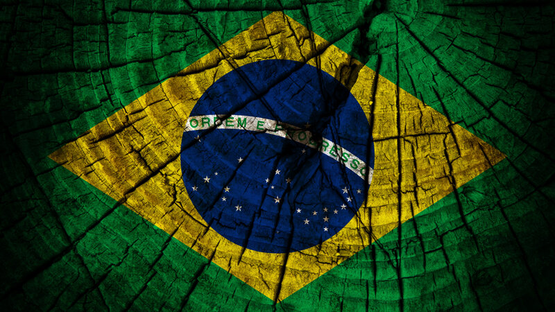 Brazilian Flag on Wood — Green
