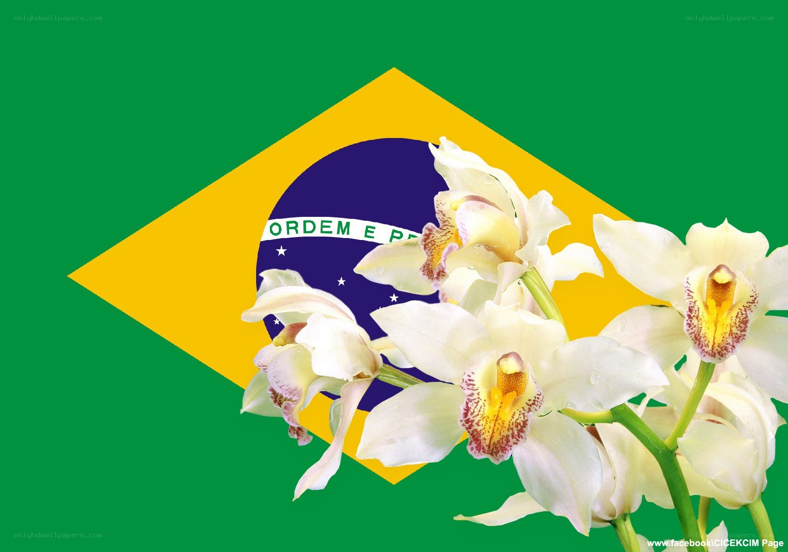 Brazilian flag with orchids