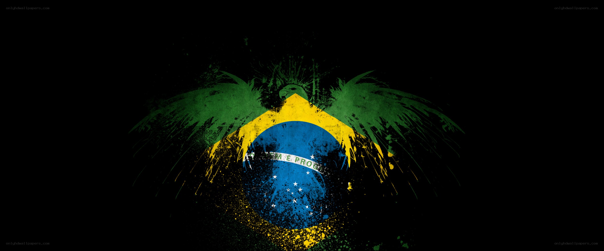 Brazilian flag with wings