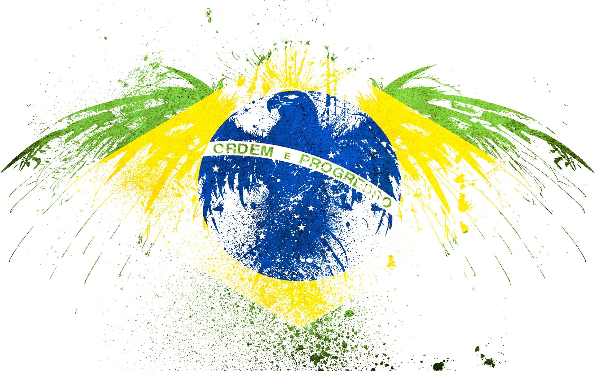 Brazilian flag with wings