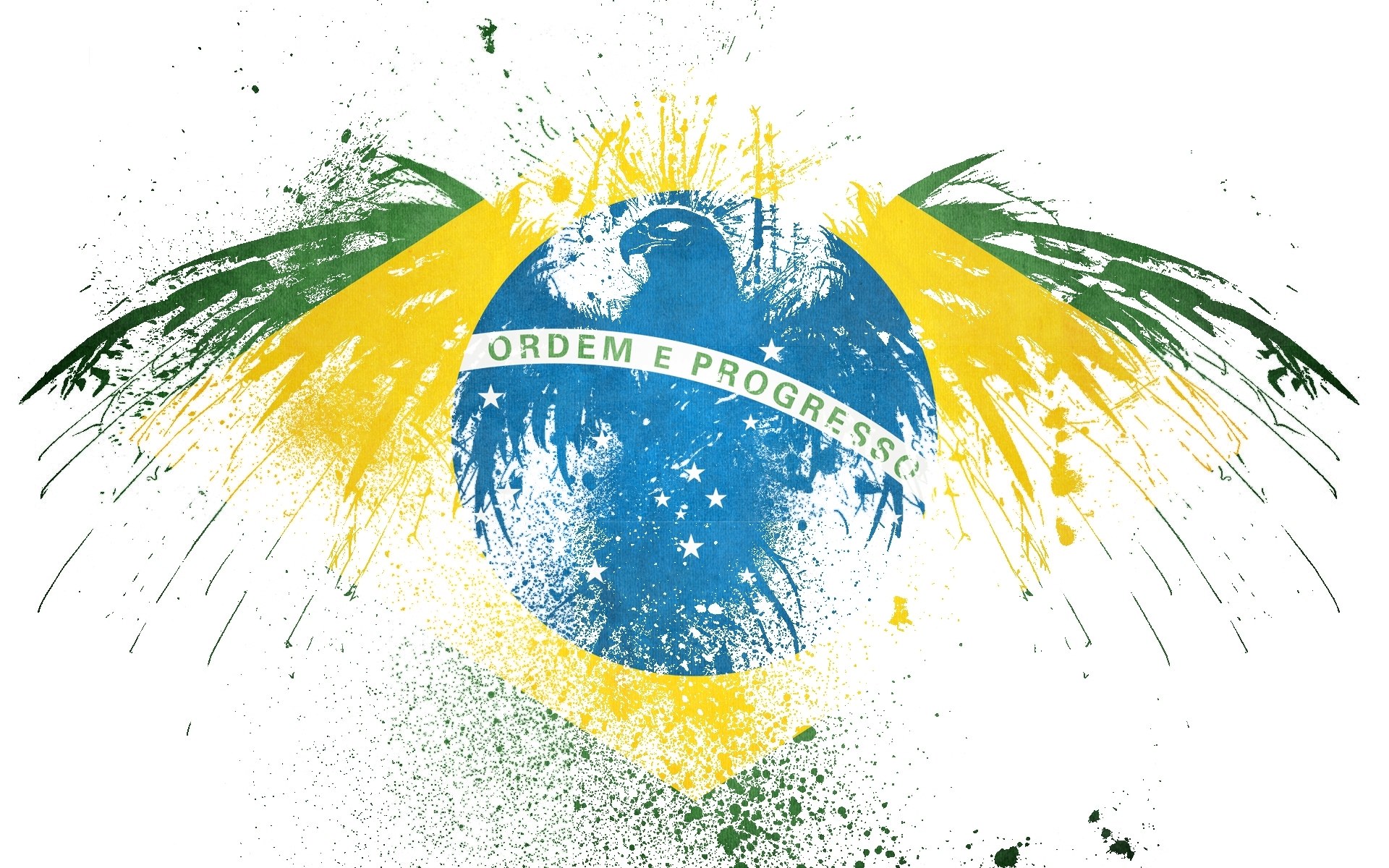 Brazilian flag with wings
